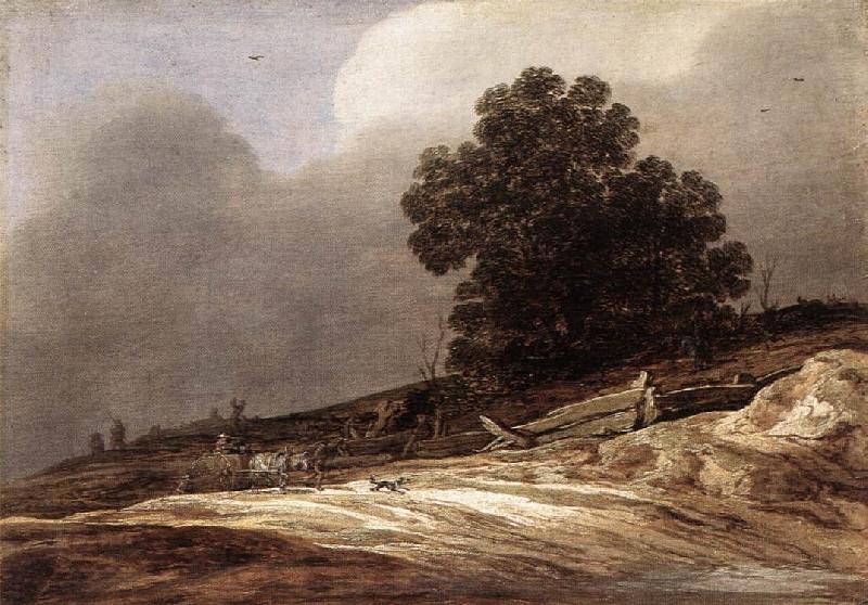 MOLYN, Pieter de Dunes g oil painting picture